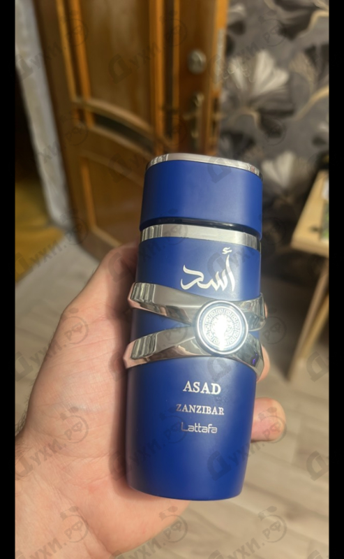 Купить Lattafa Perfumes Asad Zanzibar