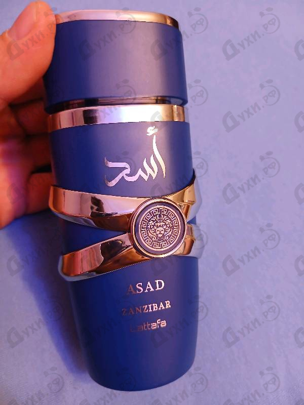 Купить Lattafa Perfumes Asad Zanzibar