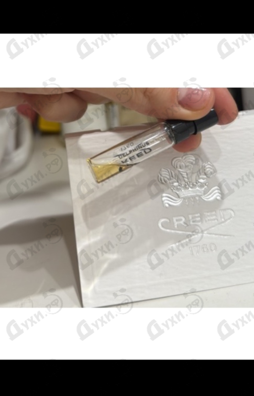 Купить Delphinus от Creed