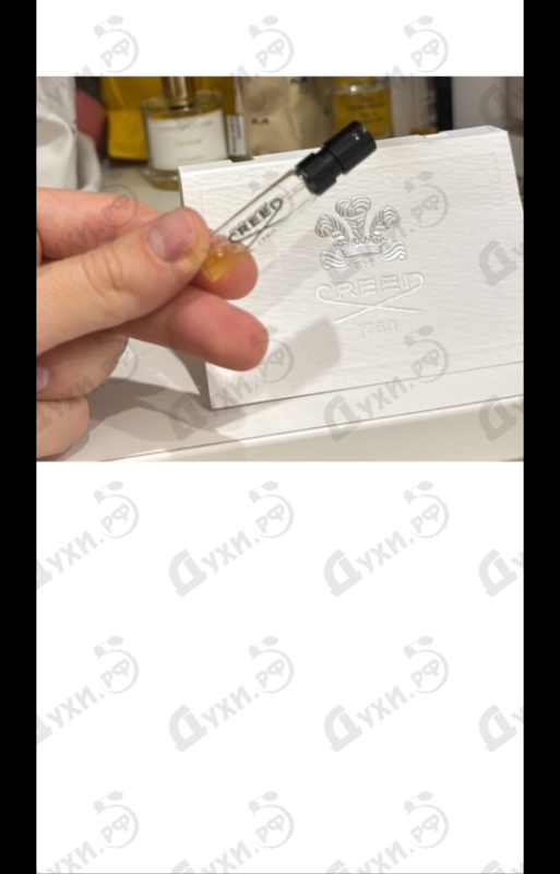 Купить Delphinus от Creed