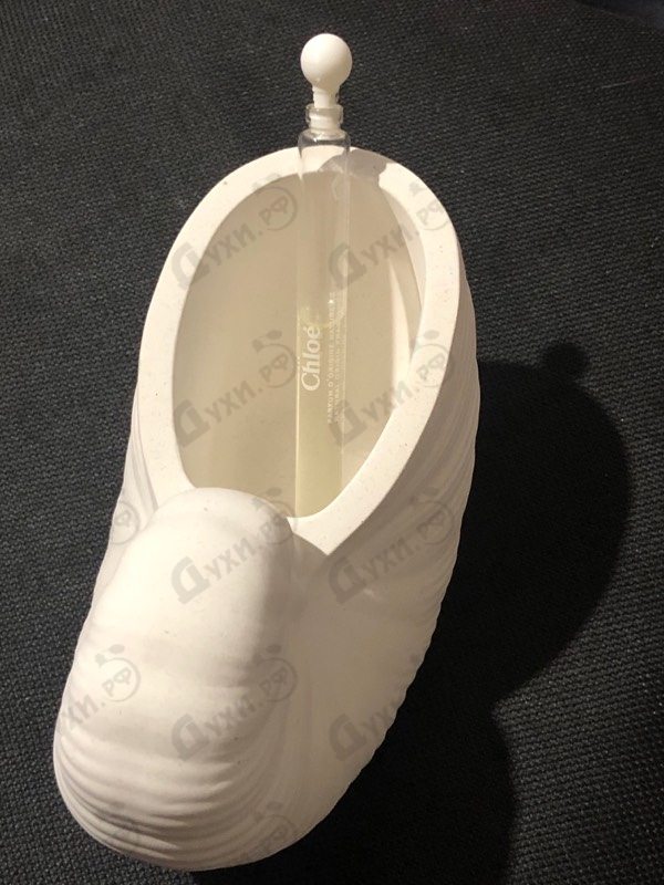 Купить Santalum от Chloe