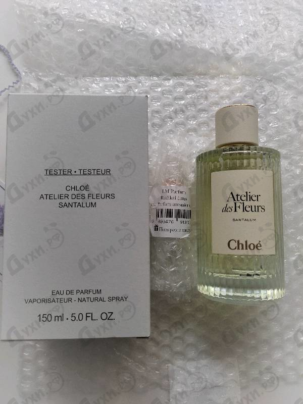 Купить Santalum от Chloe