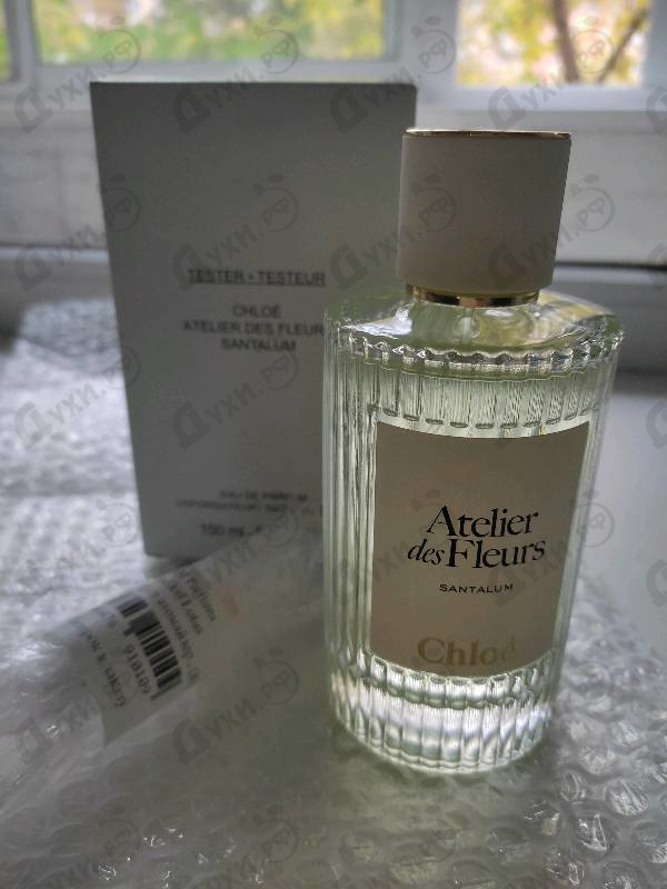 Отзывы Chloe Santalum