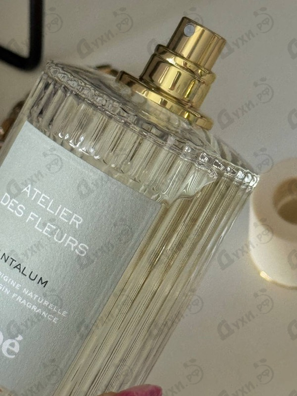 Парфюмерия Santalum от Chloe