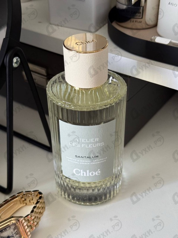 Купить Santalum от Chloe