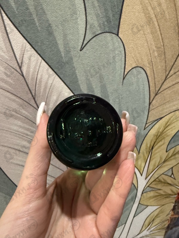 Парфюмерия Ex Vetiver от Juliette Has A Gun