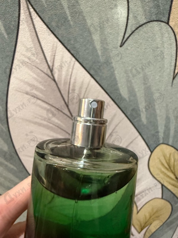 Парфюмерия Ex Vetiver от Juliette Has A Gun