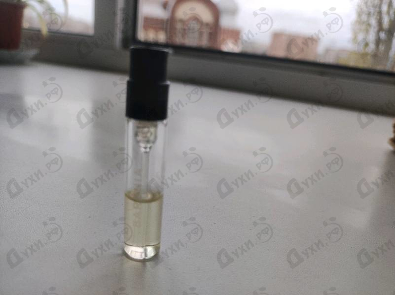 Купить Barenia от Hermes