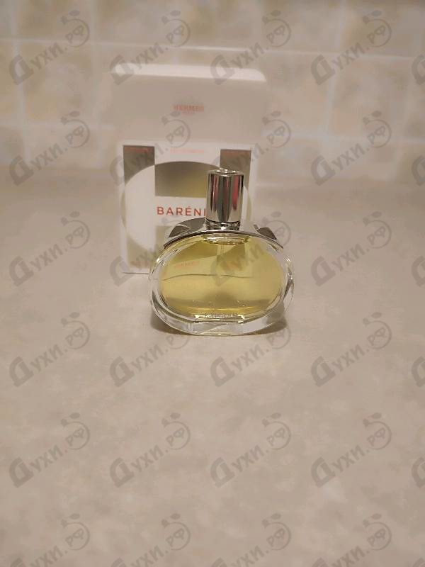 Купить Barenia от Hermes