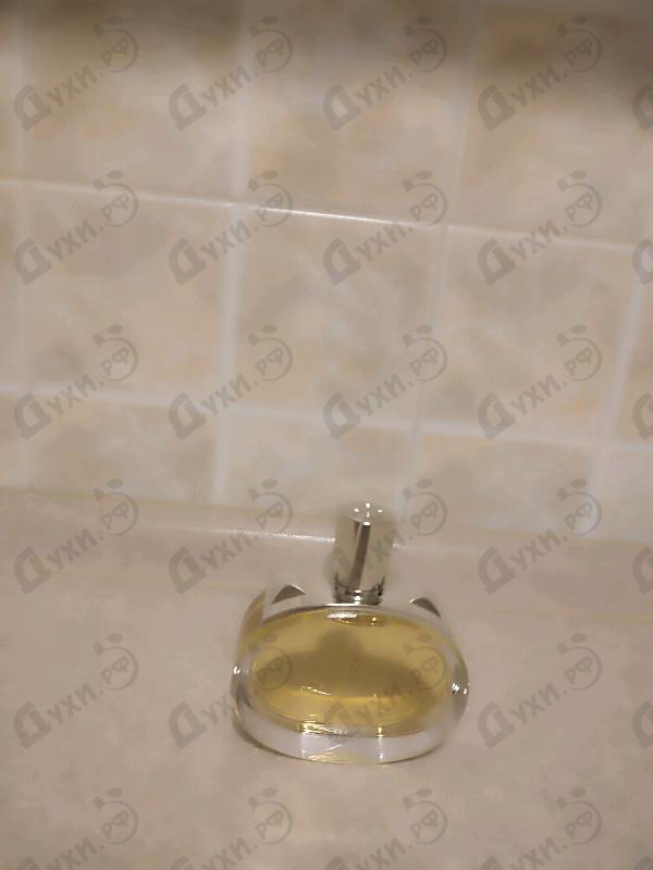 Купить Barenia от Hermes