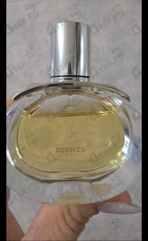 Купить Barenia от Hermes