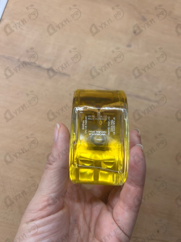 Купить Barenia от Hermes