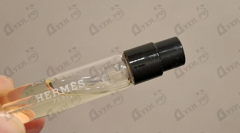 Купить Barenia от Hermes