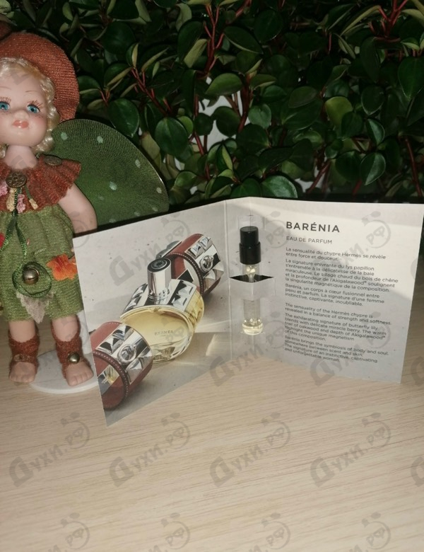 Купить Barenia от Hermes