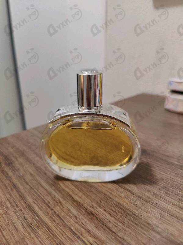 Купить Barenia от Hermes