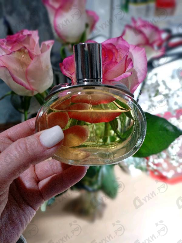 Купить Barenia от Hermes