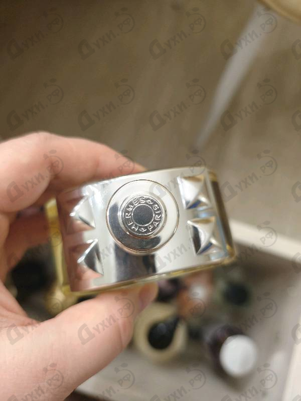 Купить Barenia от Hermes