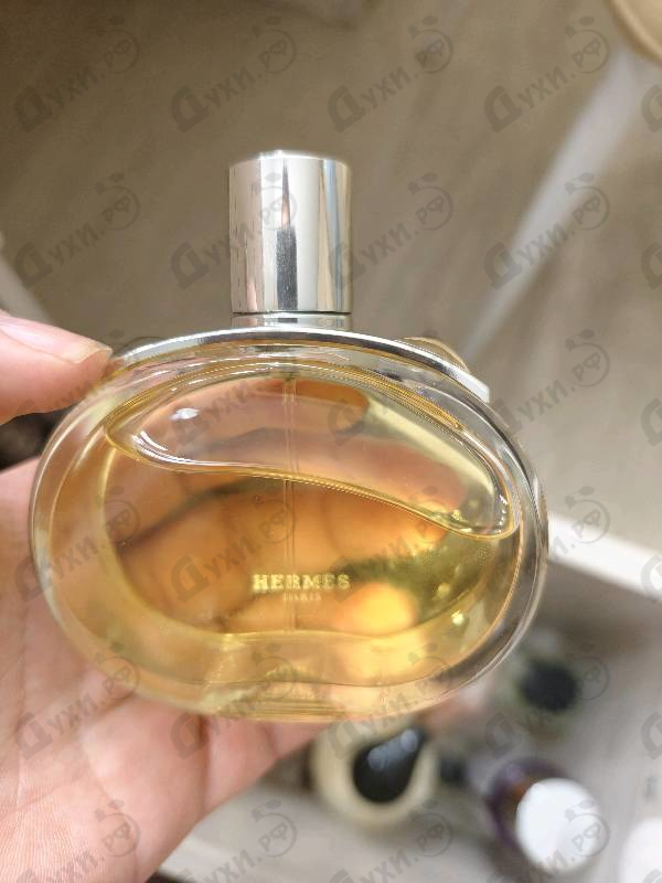 Купить Barenia от Hermes