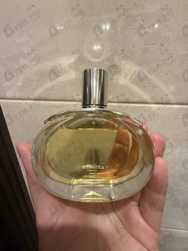 Купить Barenia от Hermes