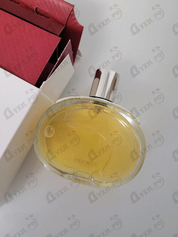 Купить Barenia от Hermes