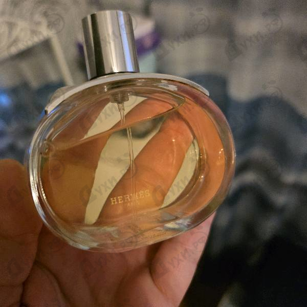 Купить Hermes Barenia
