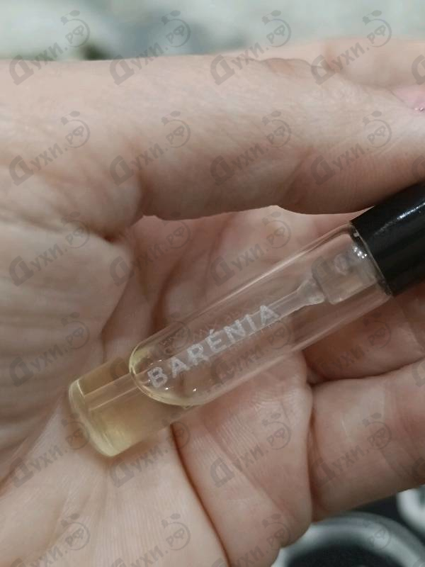 Купить Barenia от Hermes