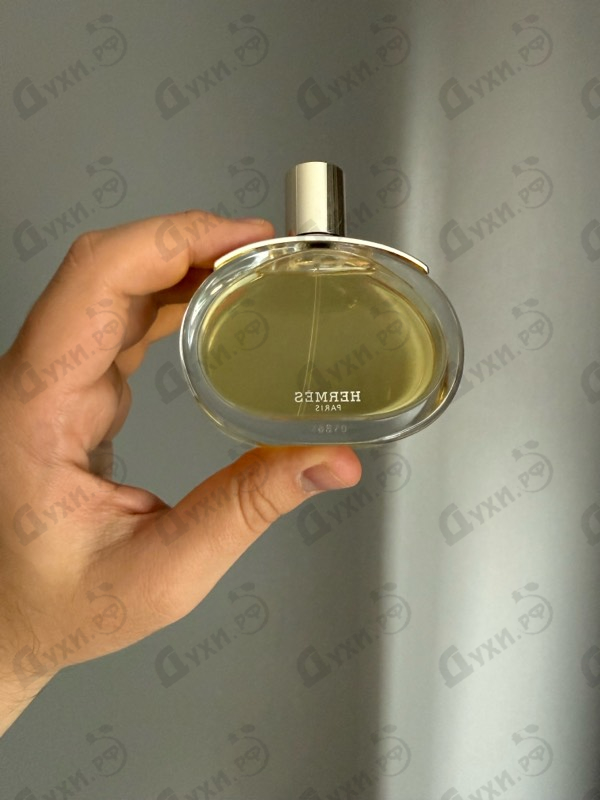 Купить Barenia от Hermes