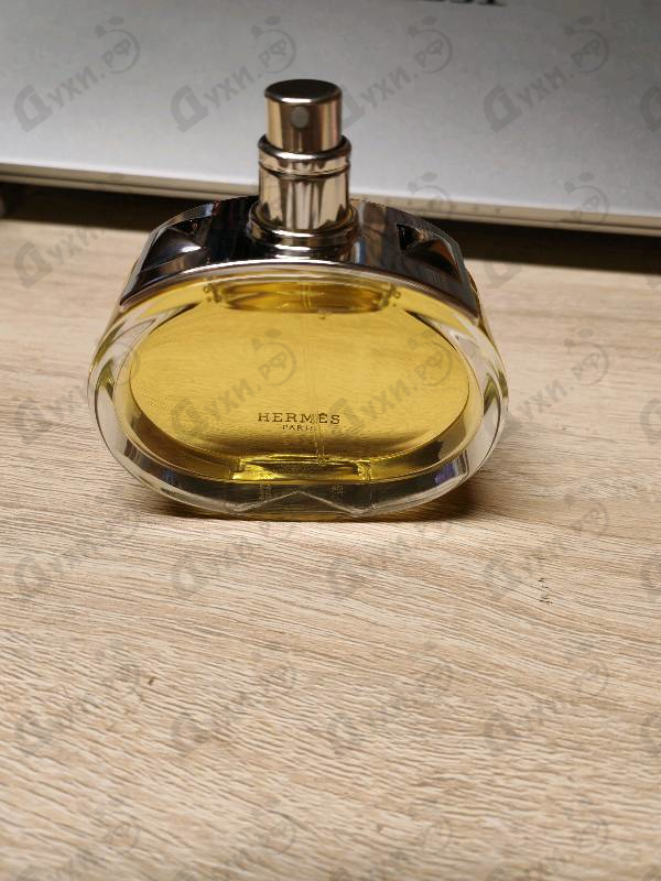 Отзыв Hermes Barenia