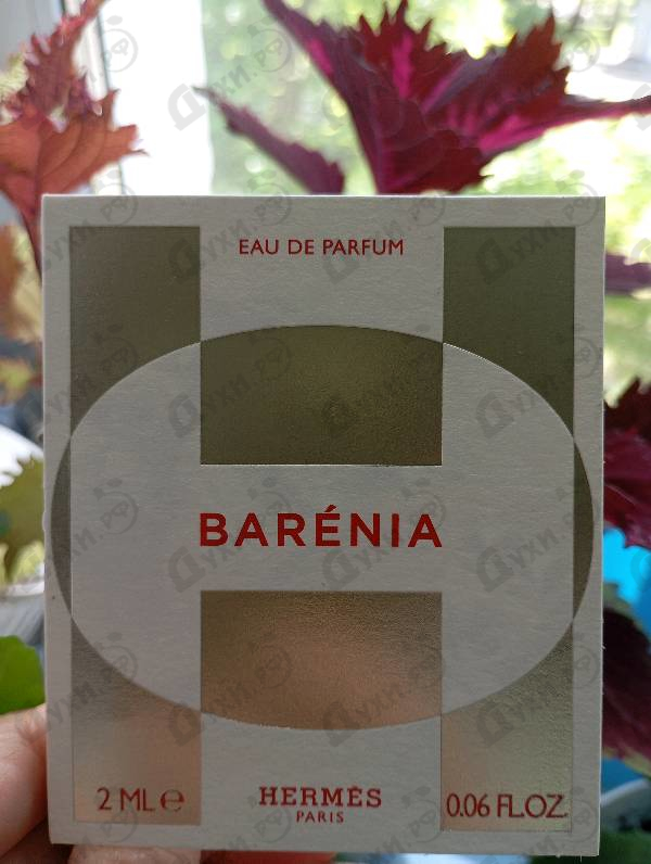 Купить Hermes Barenia