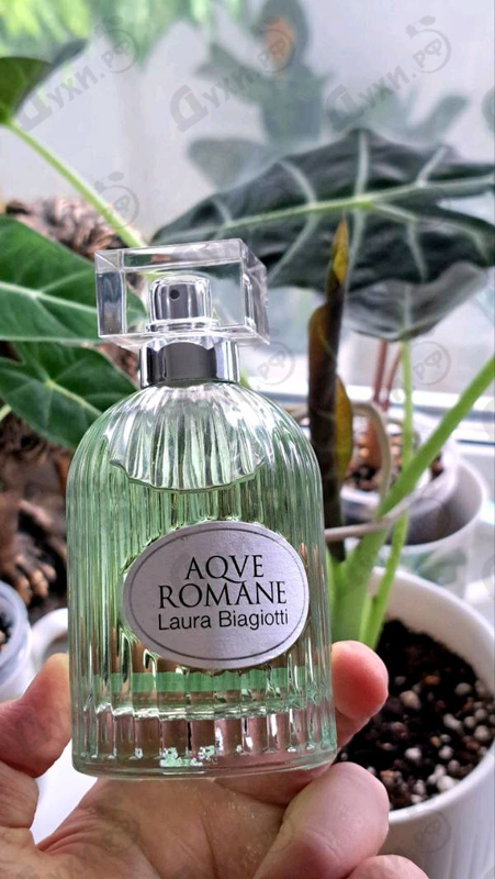 Купить Laura Biagiotti Divinum Ficus