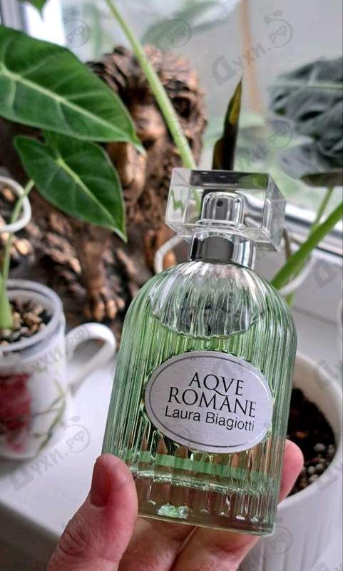 Купить Laura Biagiotti Divinum Ficus