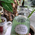 Купить Divinum Ficus от Laura Biagiotti Купить Laura Biagiotti Divinum Ficus