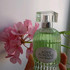 Парфюмерия Divinum Ficus от Laura Biagiotti Отзывы Laura Biagiotti Divinum Ficus