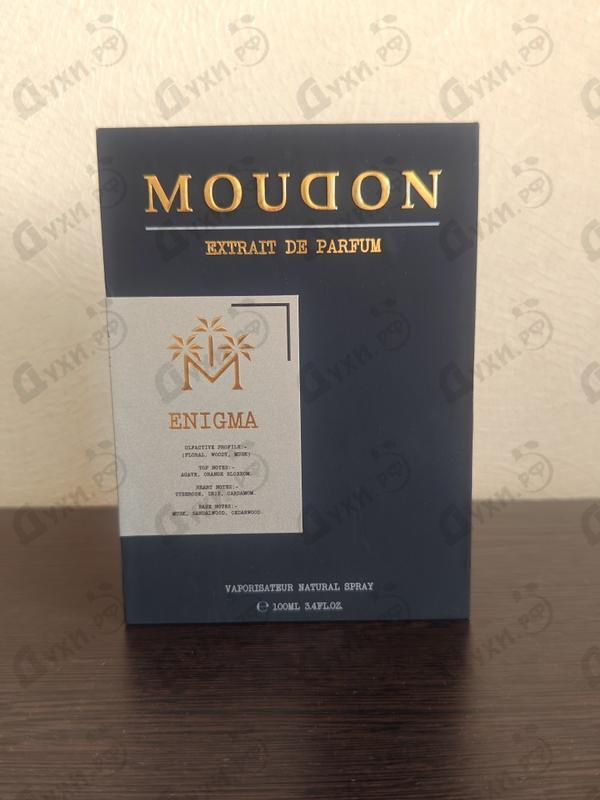 Купить Enigma от Moudon