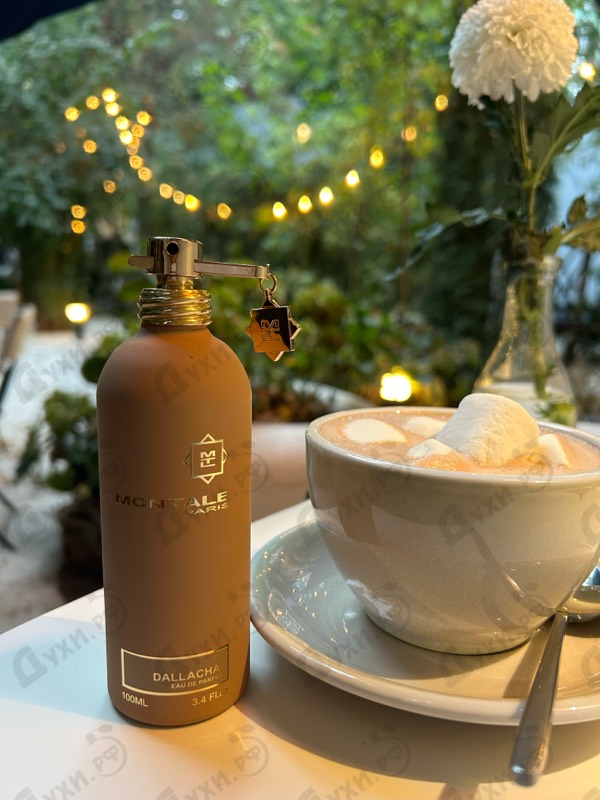 Духи Dallachai от Montale