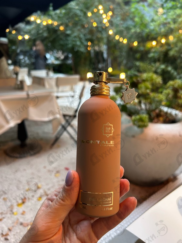 Купить Montale Dallachai