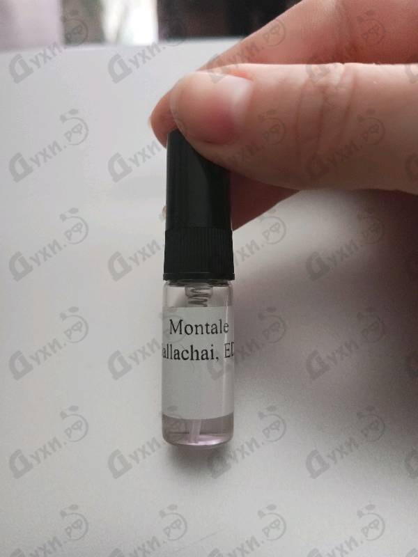 Парфюмерия Dallachai от Montale