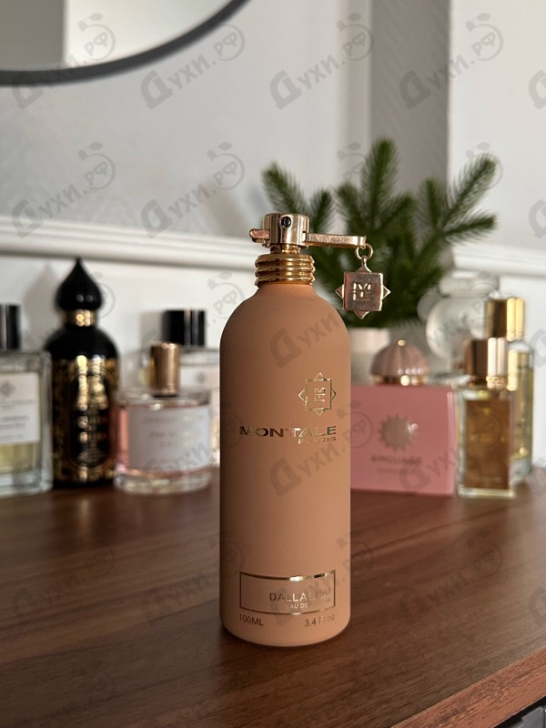 Купить Dallachai от Montale