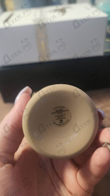 Купить Dallachai от Montale