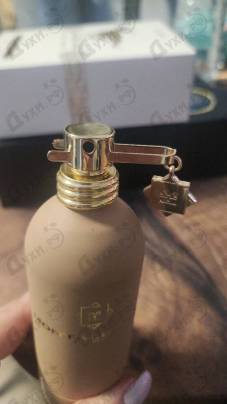 Купить Dallachai от Montale