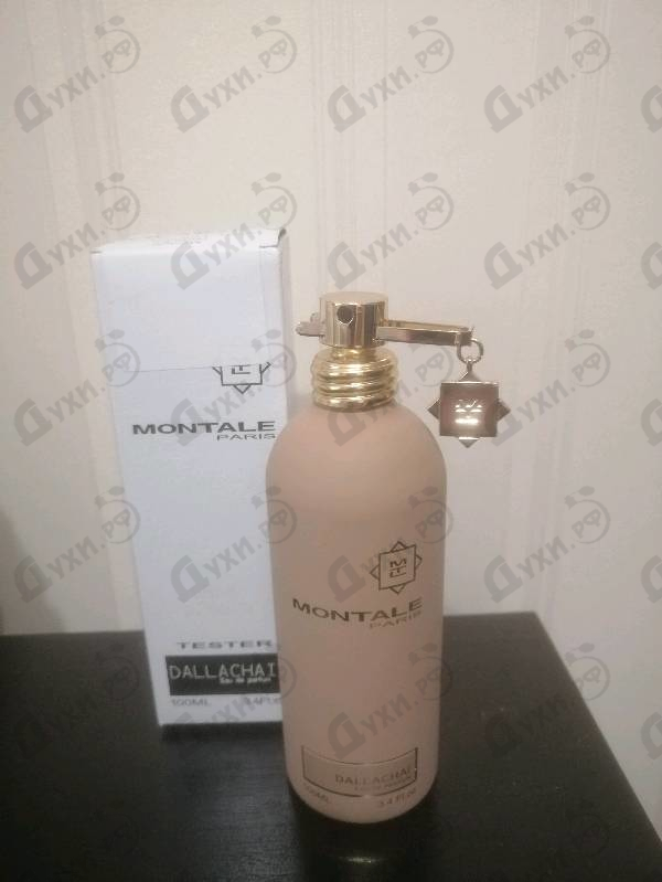Купить Dallachai от Montale