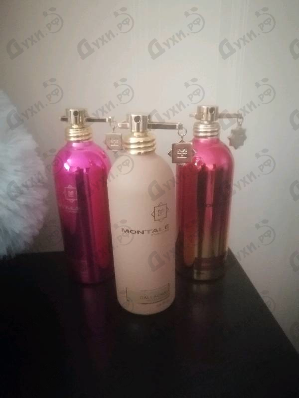 Купить Dallachai от Montale