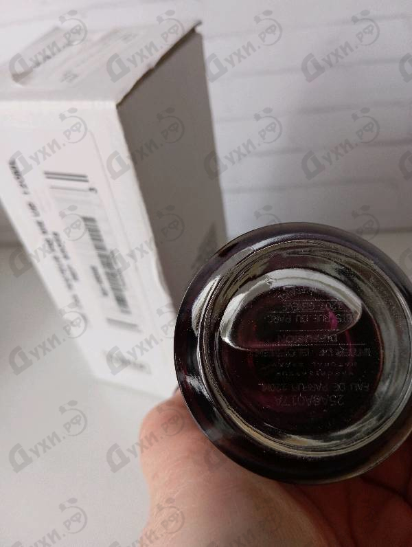 Купить Fig Me Up от Mancera