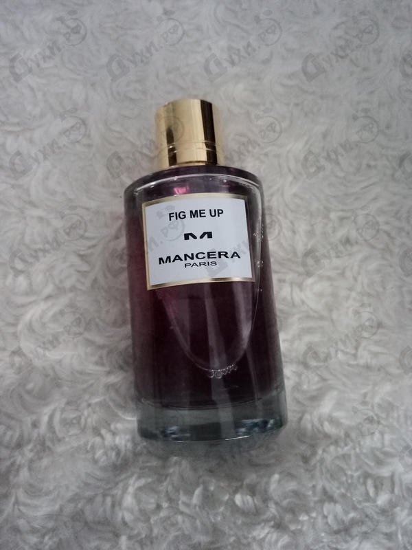 Купить Fig Me Up от Mancera