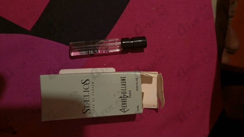 Купить Pierre Guillaume Staelios