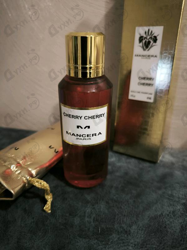 Купить Cherry Cherry от Mancera