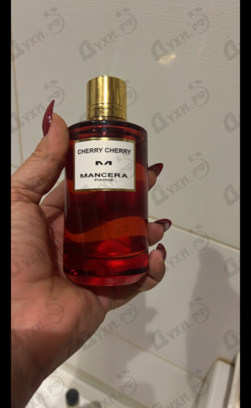 Купить Cherry Cherry от Mancera