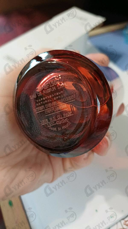 Купить Cherry Cherry от Mancera