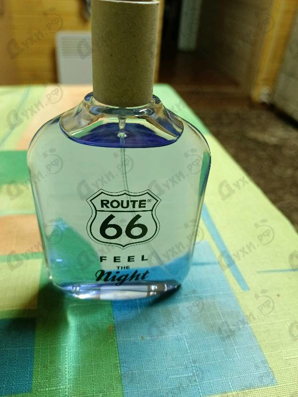 Купить Feel The Night от Route 66