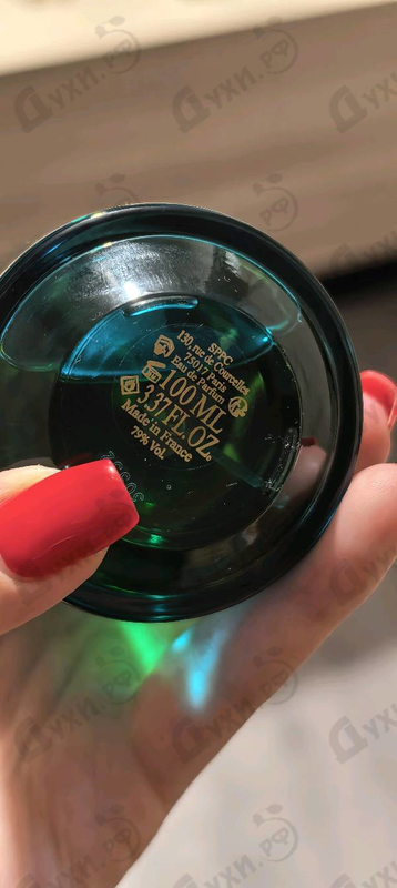 Купить Taste Of You от Memoire Des Sens